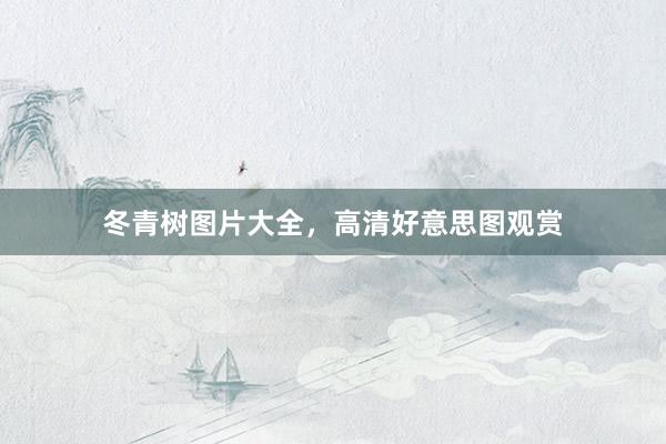 冬青树图片大全，高清好意思图观赏