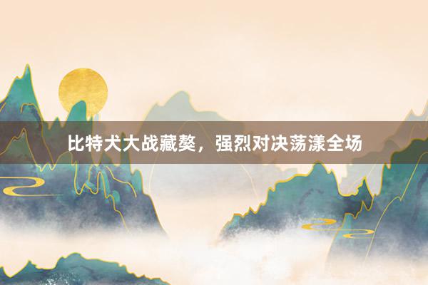 比特犬大战藏獒，强烈对决荡漾全场