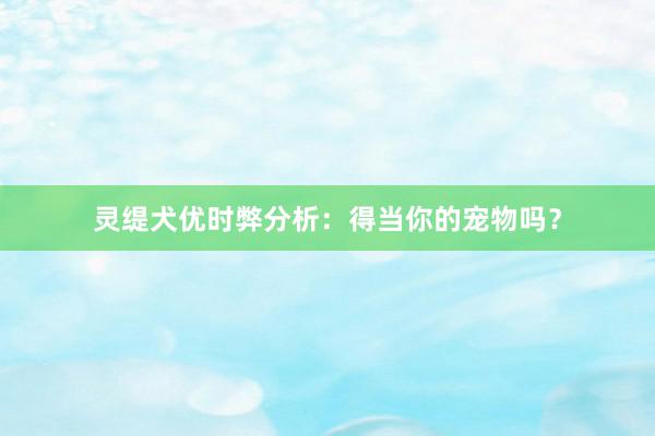 灵缇犬优时弊分析:得当你的宠物吗?